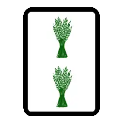 2S